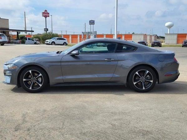 2022 ford mustang in hales corners, wisconsin