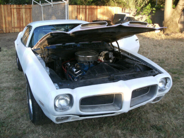 no reserve,classic,collectible,1972 pontiac firebird esprit w/ formula hood 350
