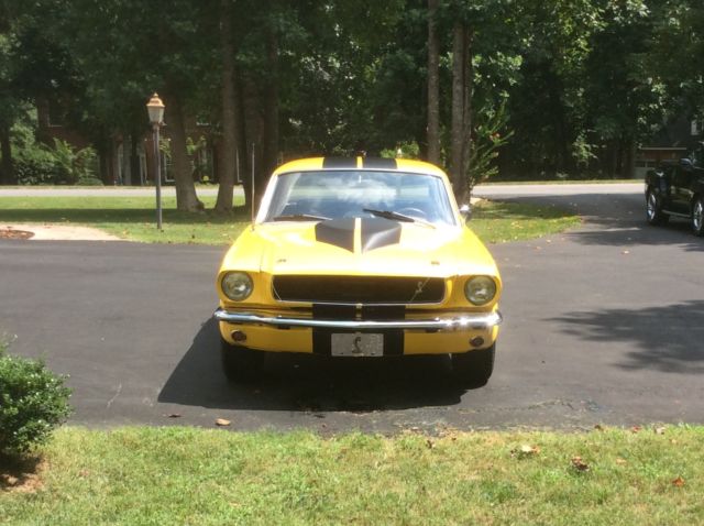 gt 350 tribute