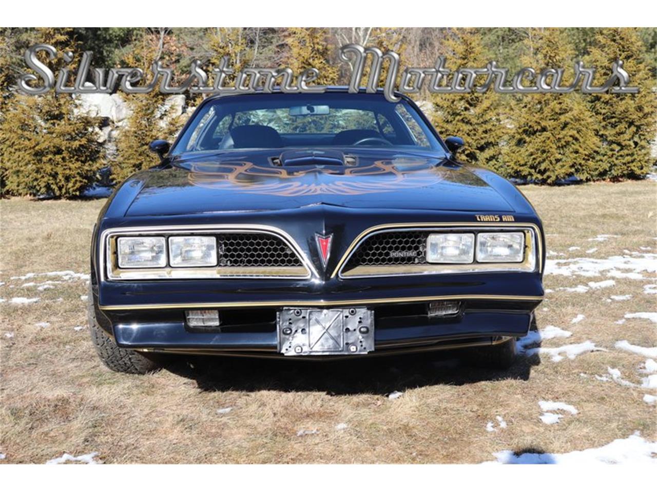 1977 pontiac firebird trans am