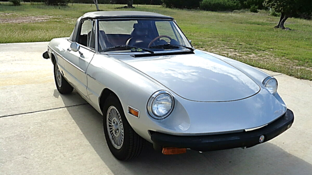 1981 alfa romeo veloce spider series 2