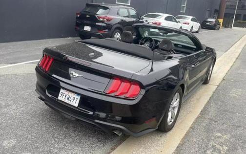 2023 ford mustang