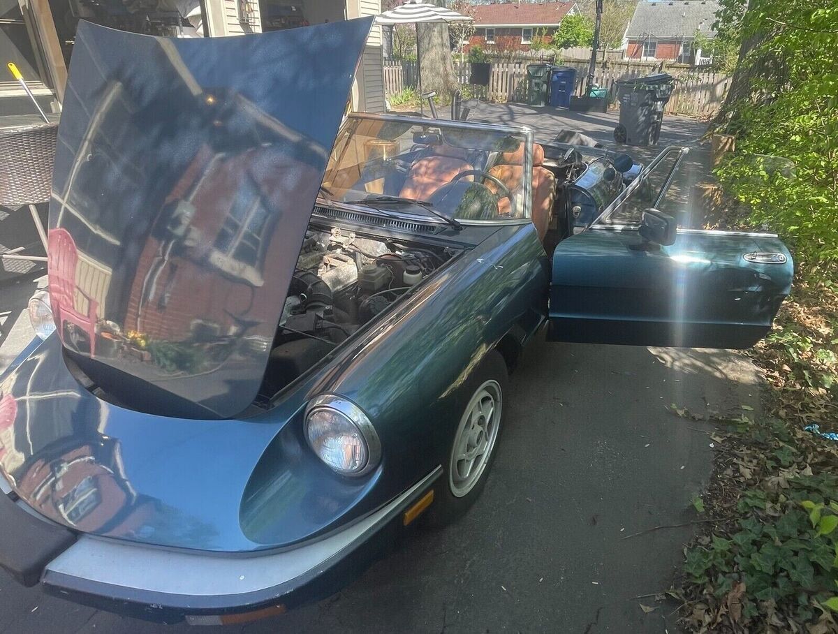 1987 alfa romeo spider veloce | project car