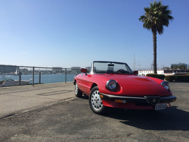 1988 alfa romeo spider graduate convertible babied w/ extensive records