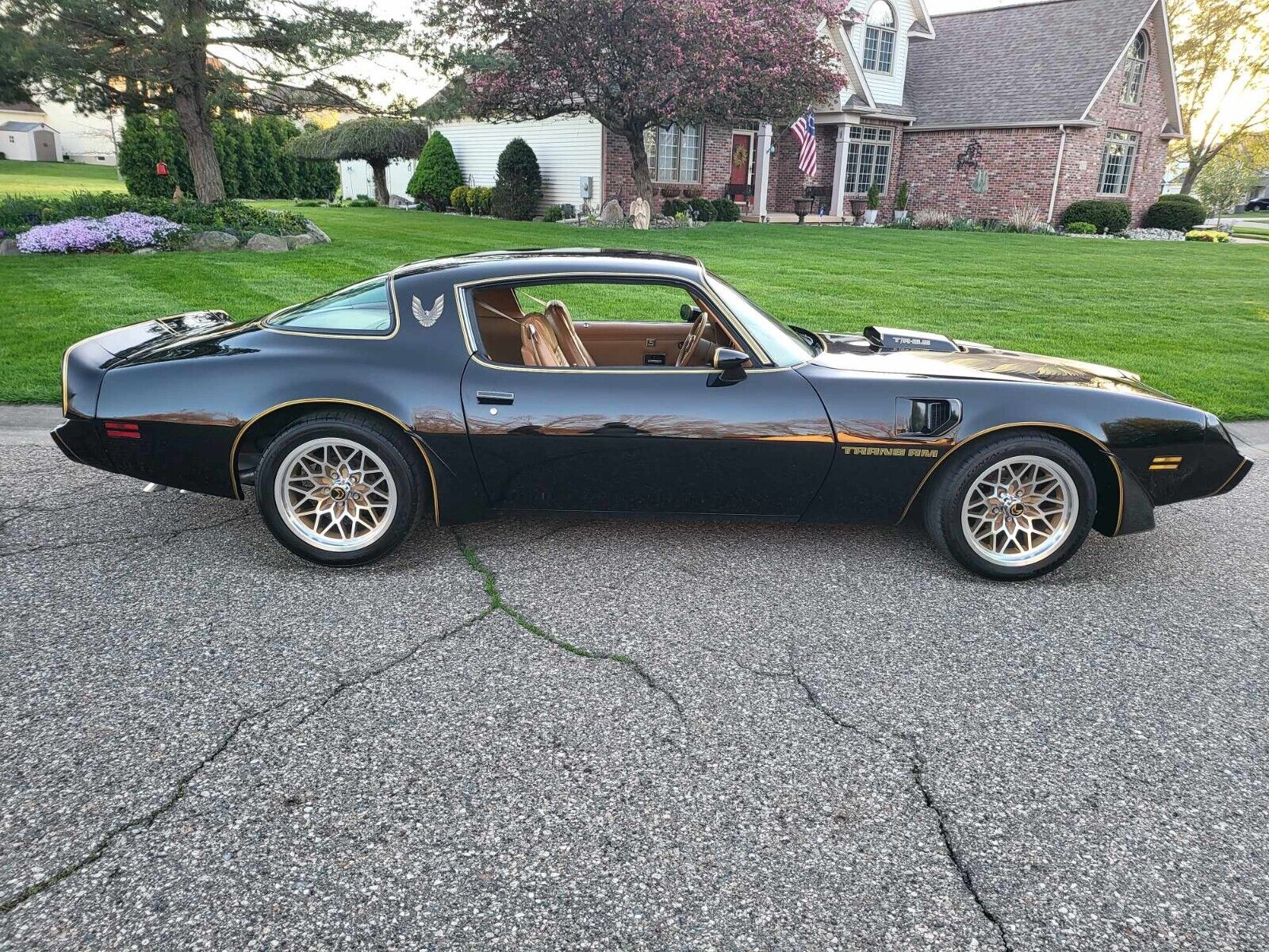 1979 pontiac trans am