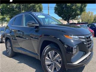 2022 Hyundai Tucson blue