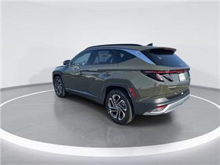 2025 Hyundai Tucson limited
