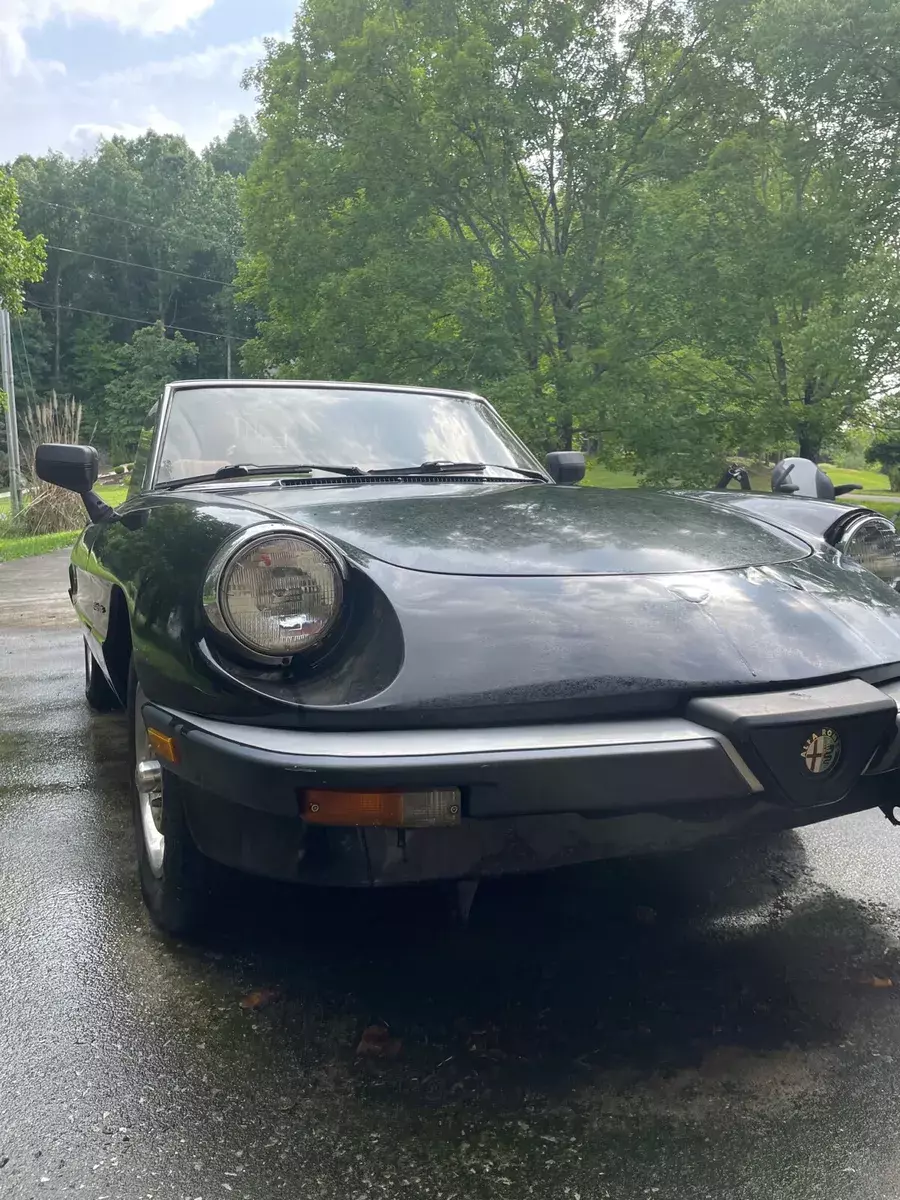 1988 alfa romeo spider convertible black rwd manual veloce