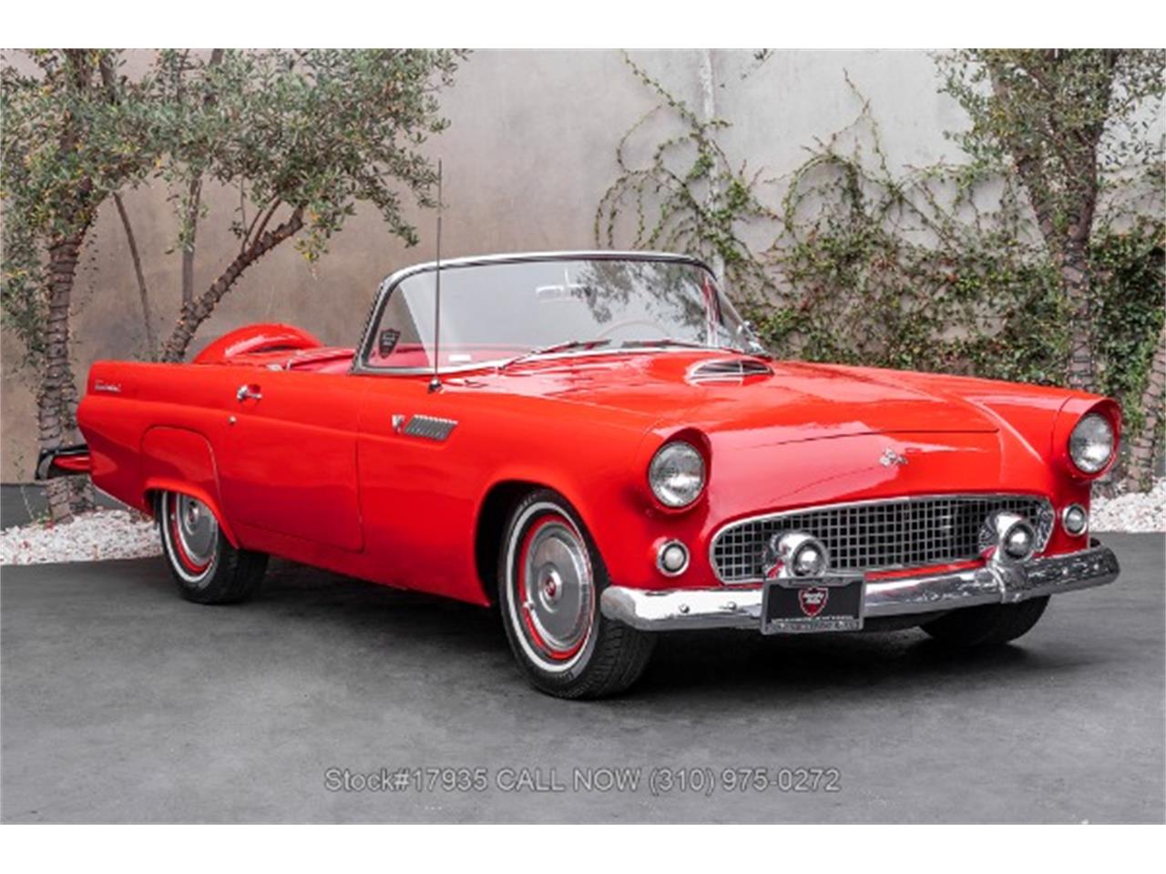 1955 ford thunderbird