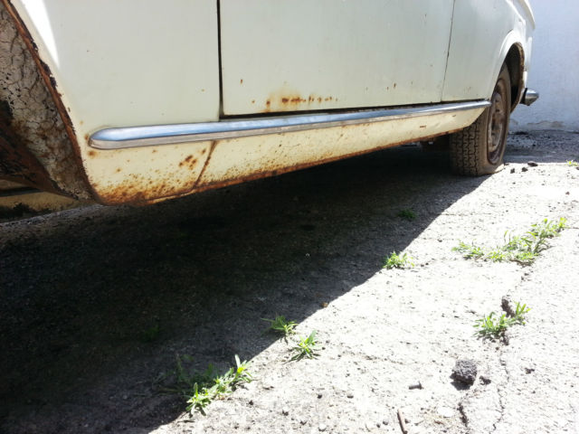 datsun 411 wagon 1966 project car