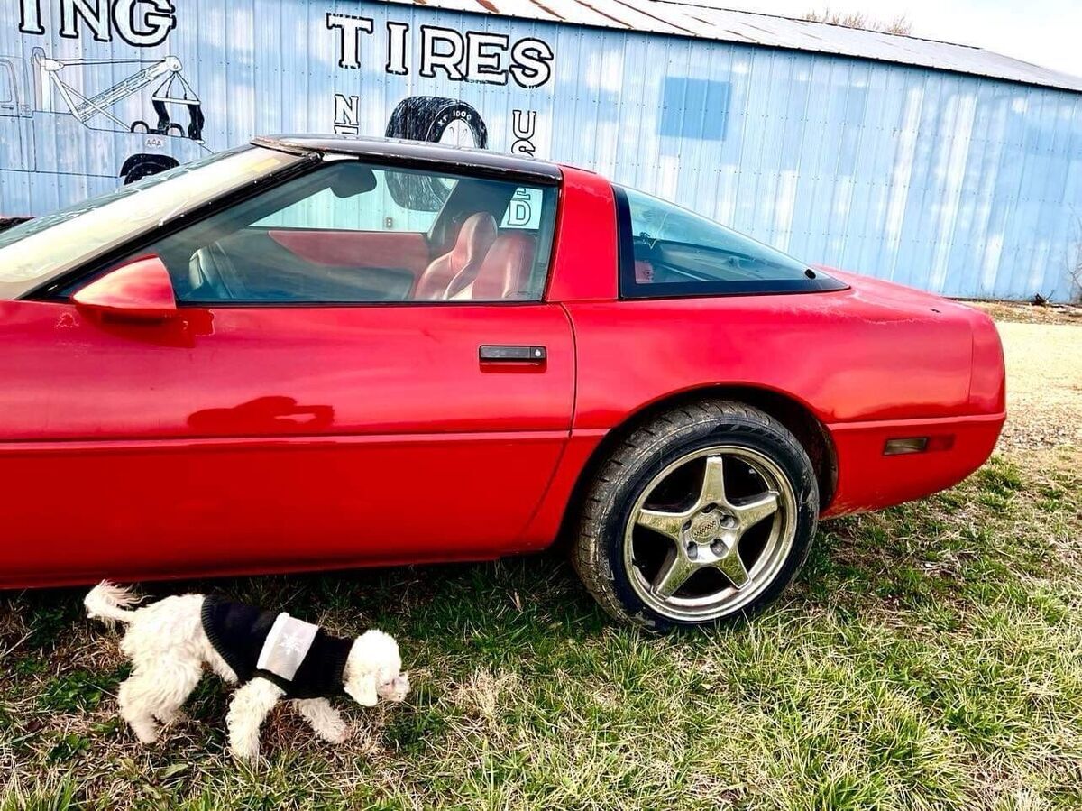 1994 chevrolet corvette hatchback red rwd automatic