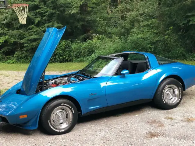 frame-off 454 big block lots of pics & video
