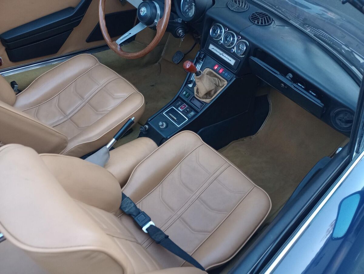 1981 alfa romeo spider spica