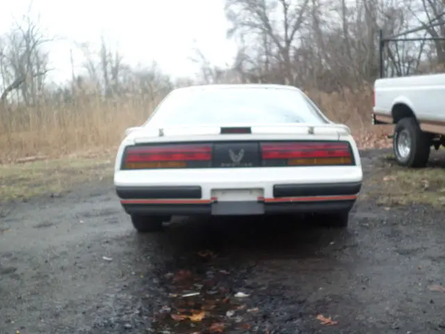 1988 pontiac firebird t tops
