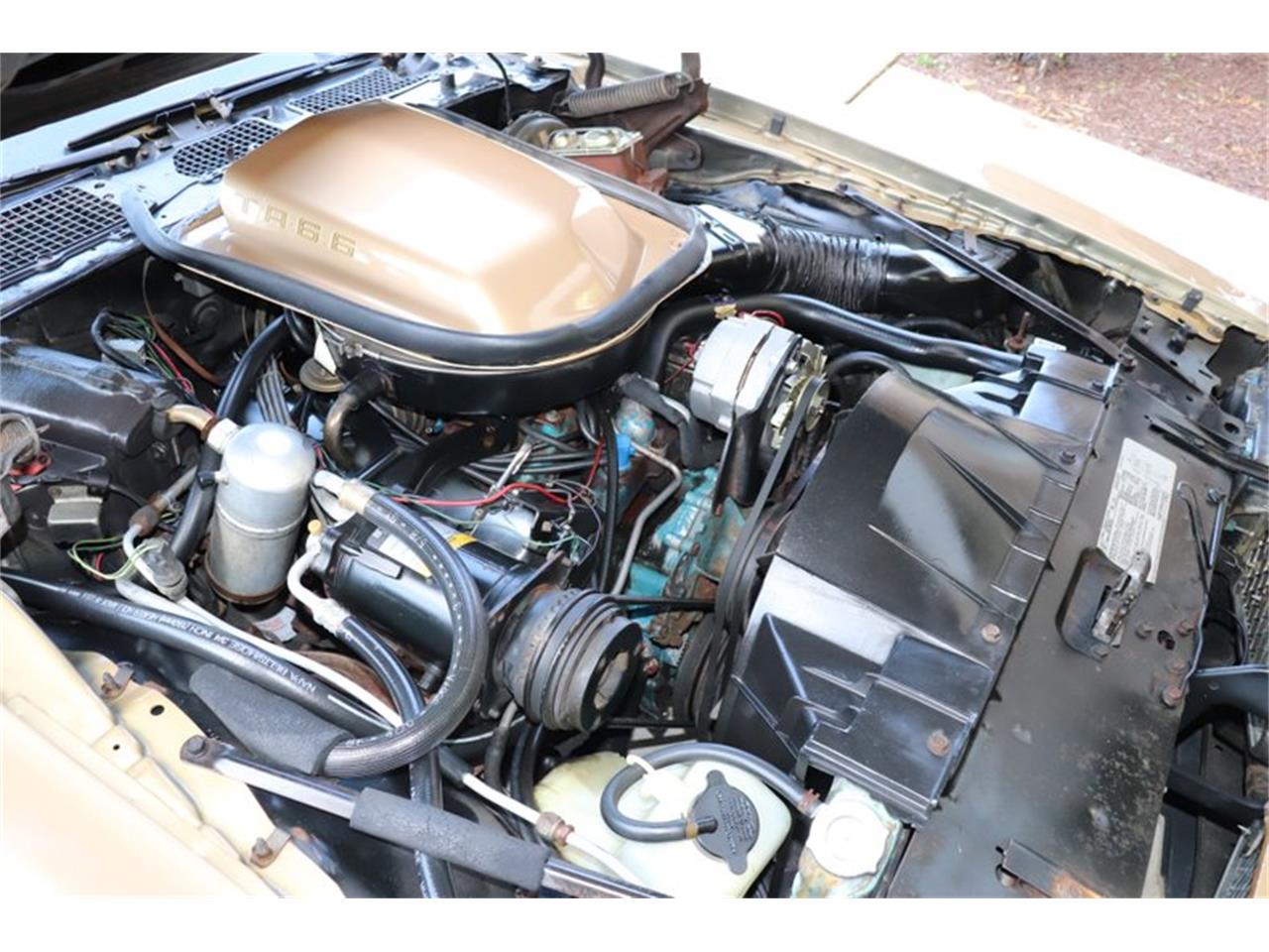 1978 pontiac firebird trans am