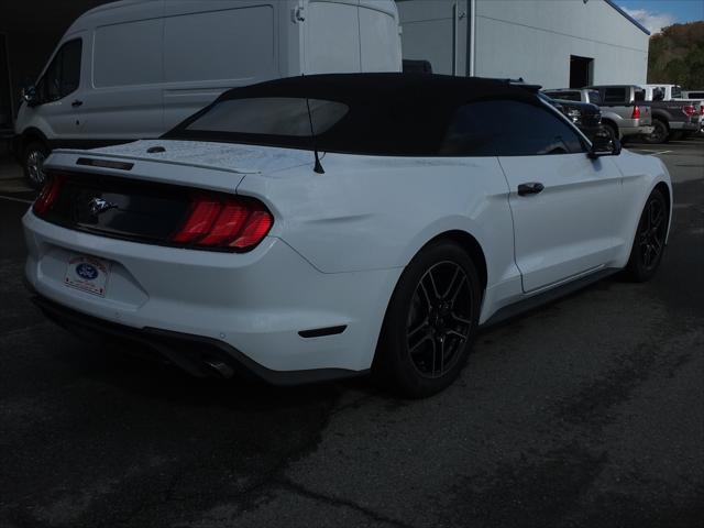 2019 ford mustang ecoboost premium