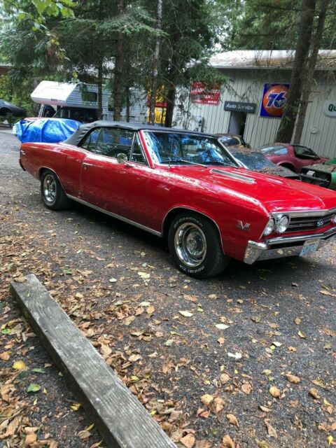 1967 chevelle convertible ss all numbers matching 4-speed