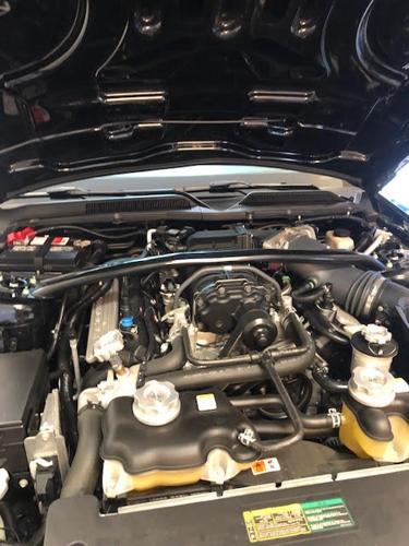 used 2009 ford mustang shelby gt500 las cruces, nm 88007 for sale in las cruces, new mexico