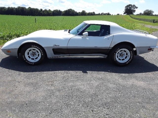 *no reserve* corvette stingray coupe - cosmetic project, mechanically solid
