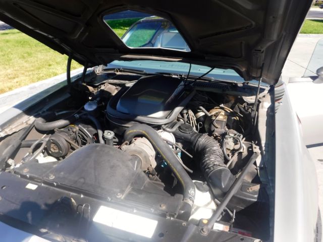 1979 trans am. 18,500 miles. spotless & all original. looks almost new!