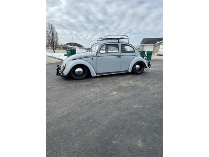 1964 volkswagen beetle in cadillac, michigan