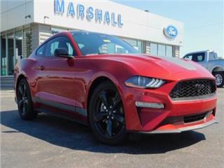 2022 Ford Mustang ecoboost