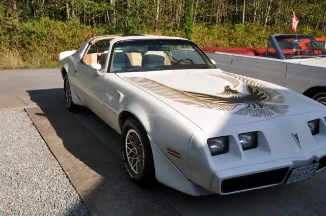 1981 pontiac firebird trans am coupe se 4.9 litre turbocharged