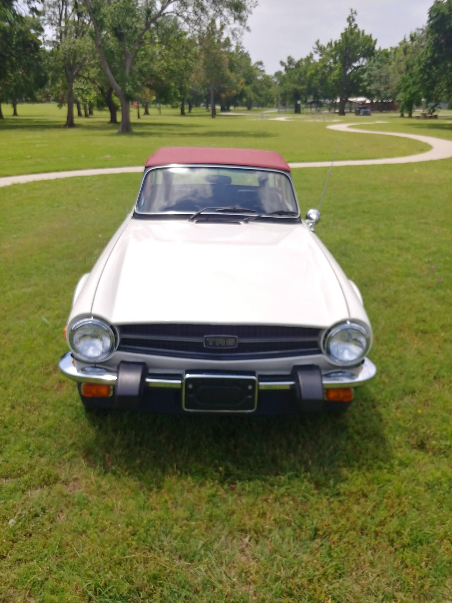 1976 triumph tr6