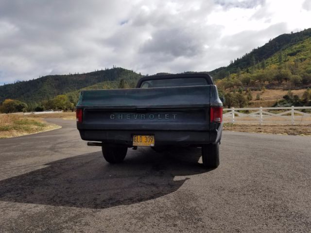 1977 chevy c10 scottsdale fleetside short wide pickup