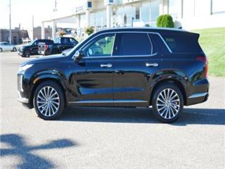2023 Hyundai Palisade calligraphy