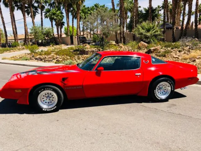1980 pontiac transam 4.9l turbo
