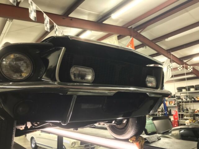 survivor factory black california special