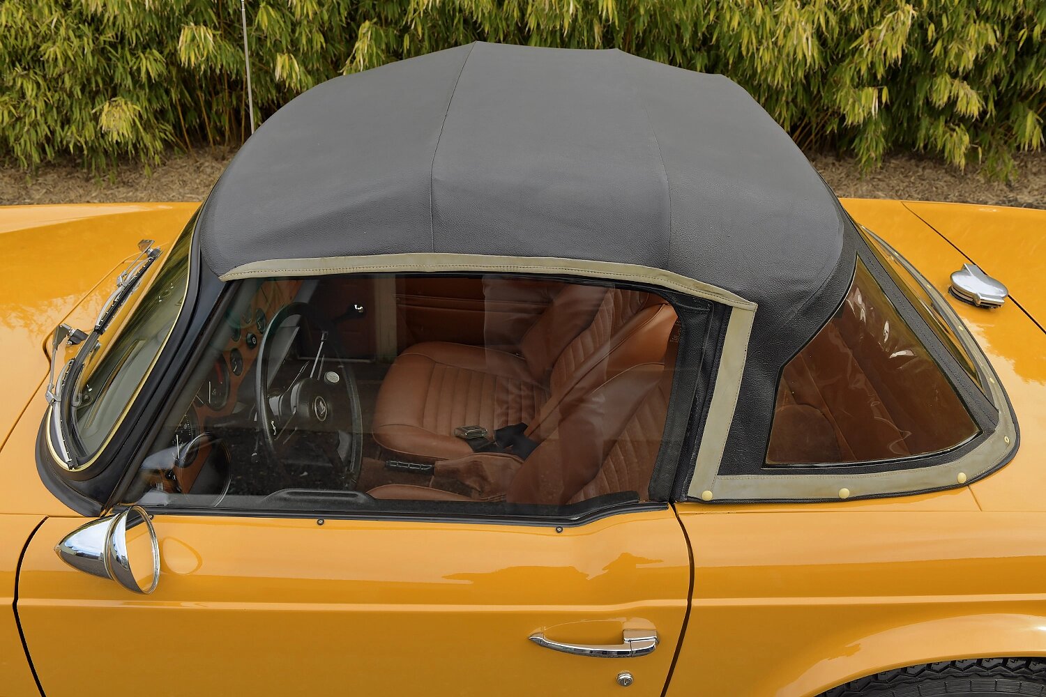 triumph tr6