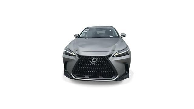 2023 lexus nx 250 base