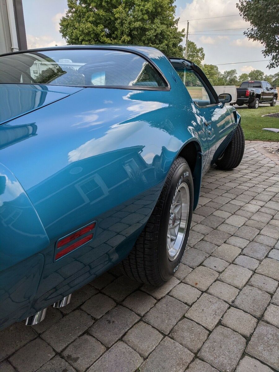 1979 pontiac trans am coupe blue rwd manual t-top