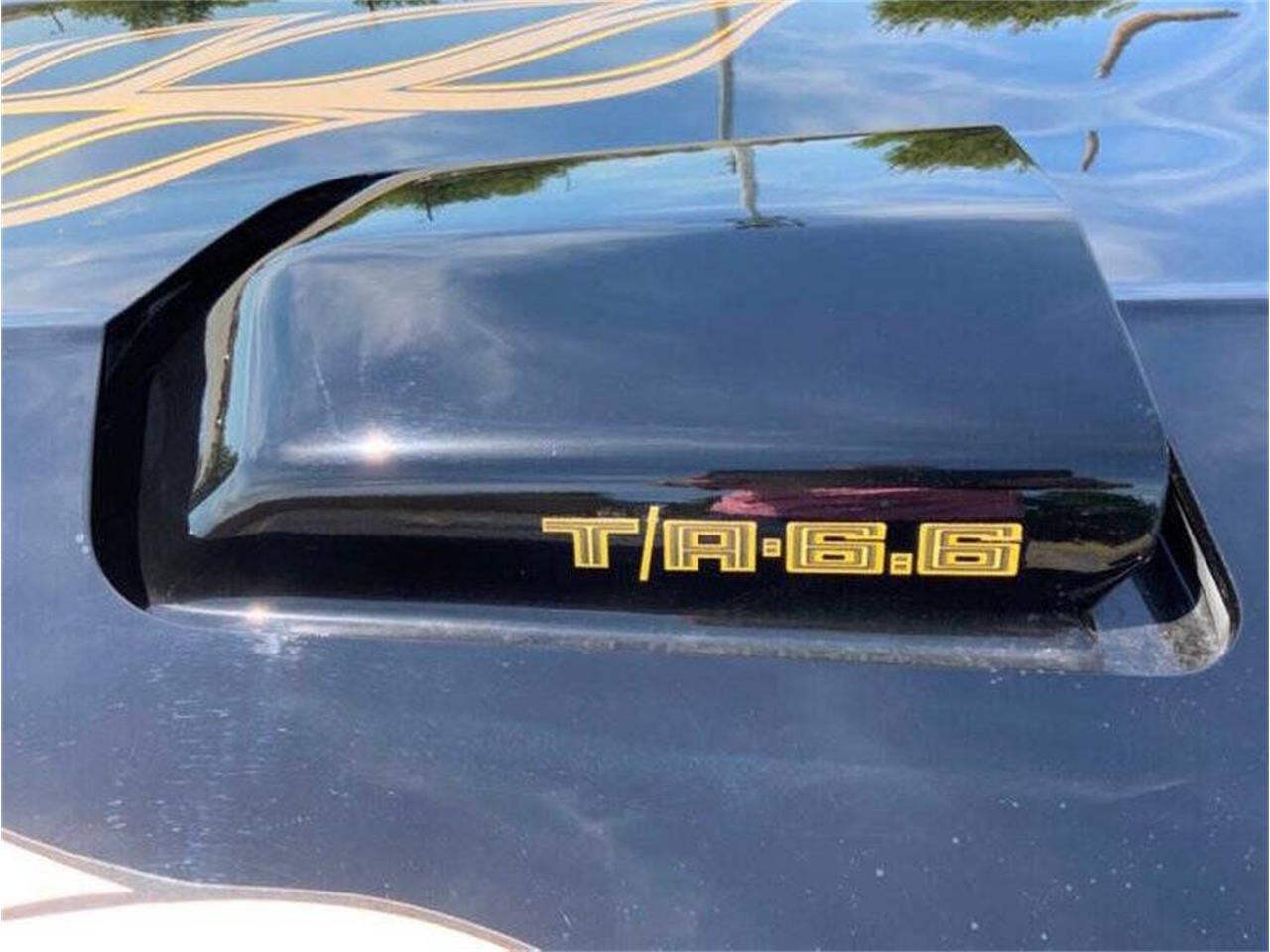 1978 pontiac firebird trans am