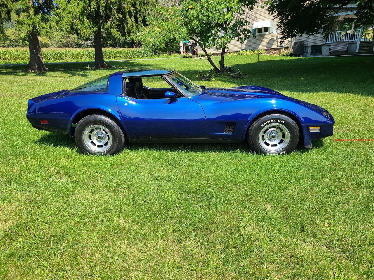 1981 chevrolet corvette