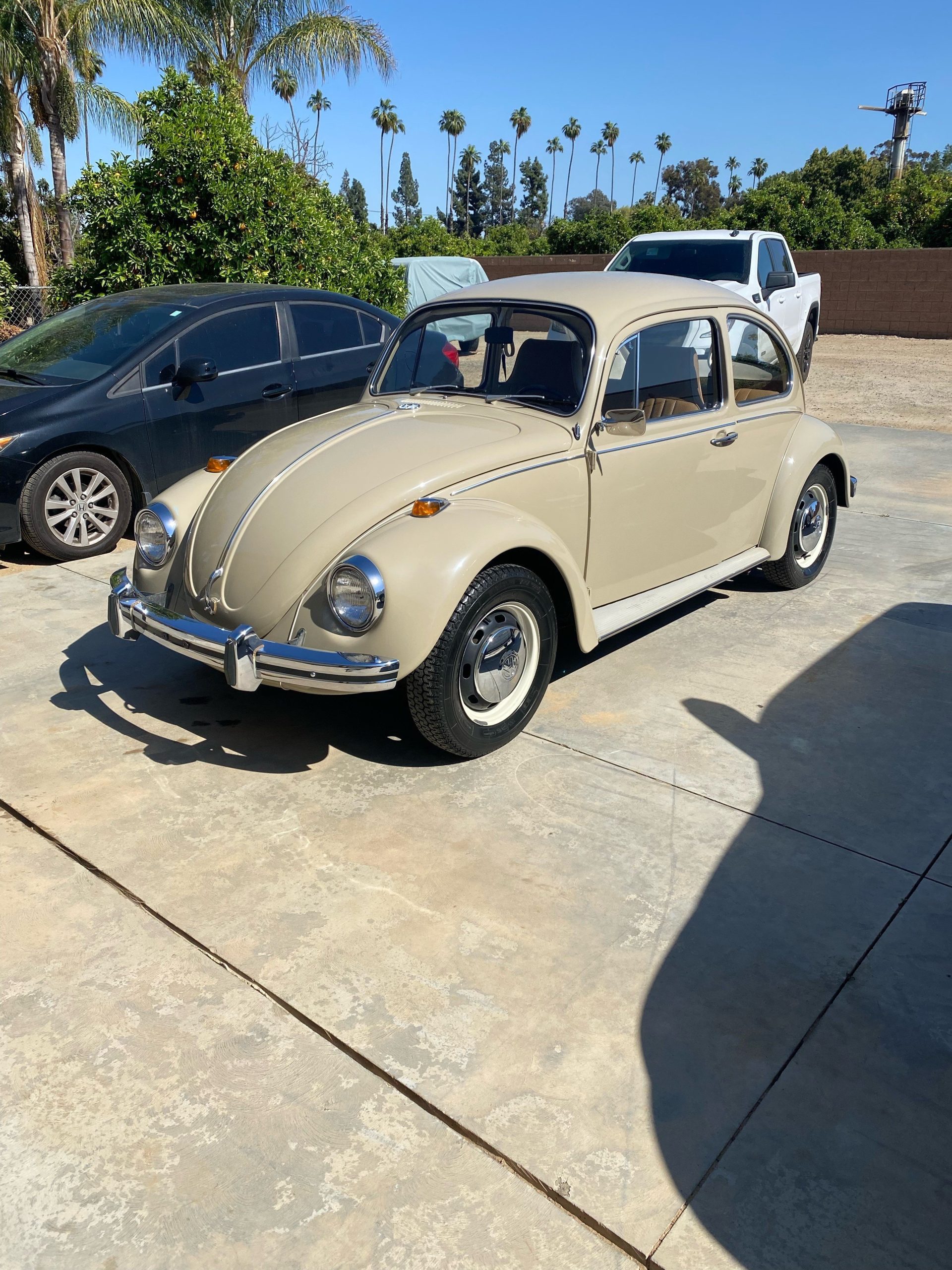 1968 volkswagen beetle coupe