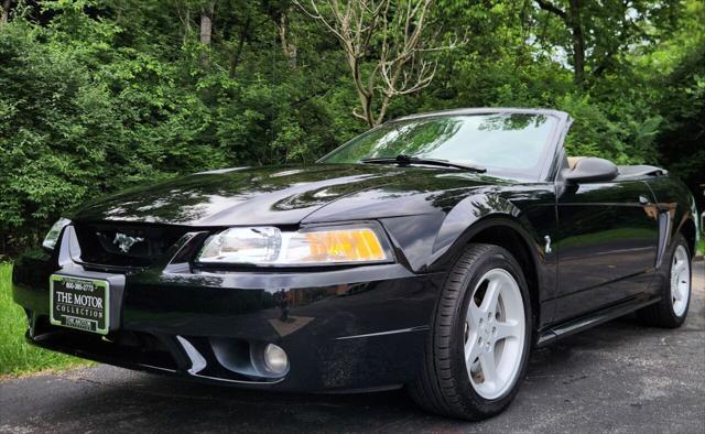 1999 ford mustang svt cobra