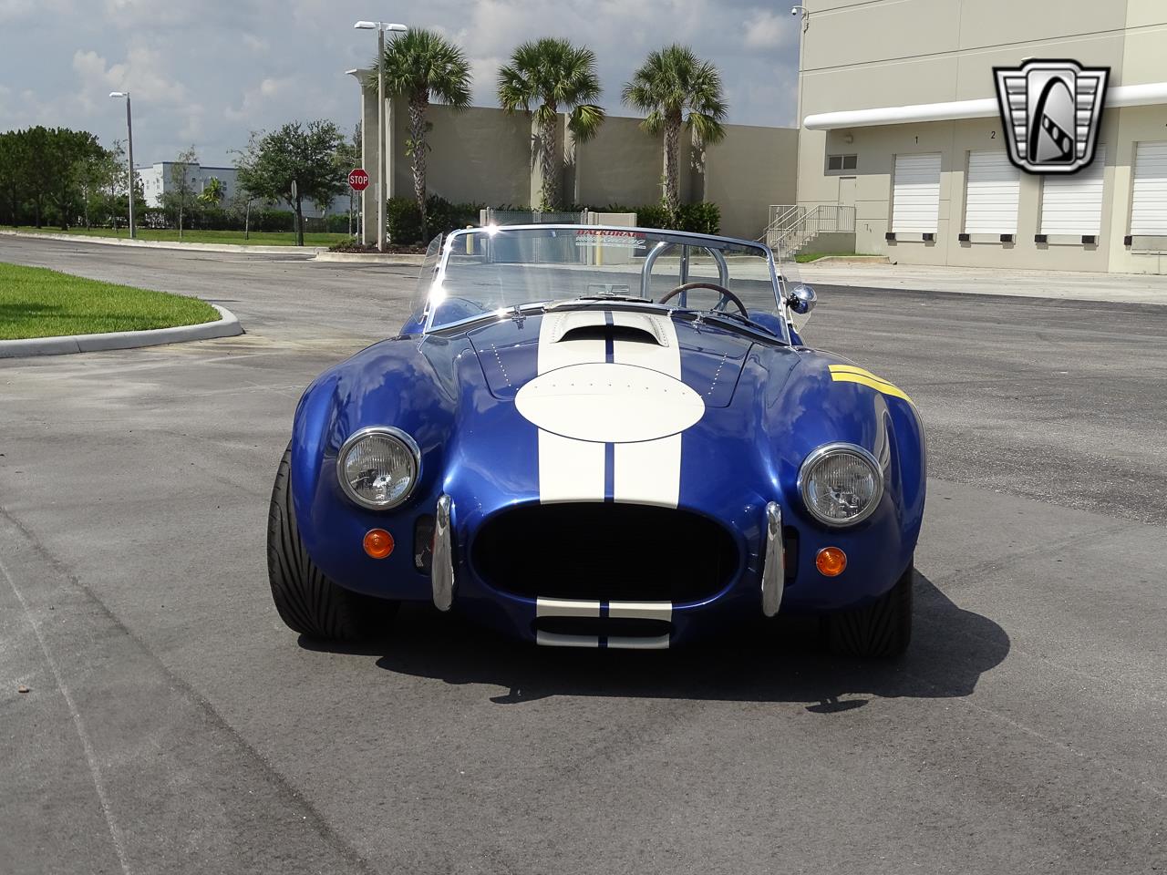1965 shelby cobra
