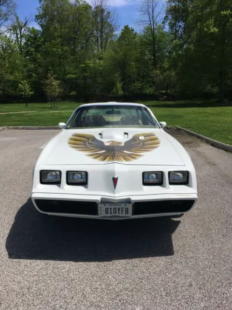 1979 pontiac trans am ws 6