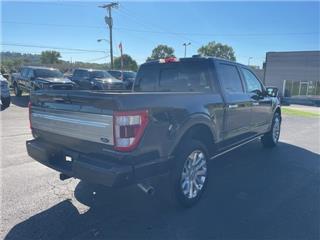 2022 Ford F-150 limited