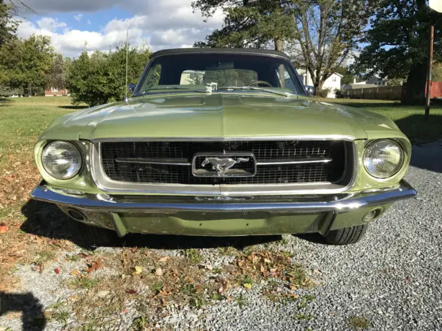 1967 mustang convertible 289 automatic in ivy gold