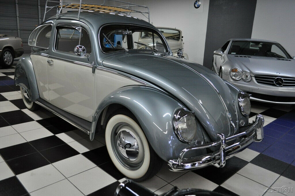 amazing 54 beetle - museum qualilty