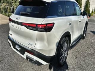 2025 Infiniti QX60 sensory