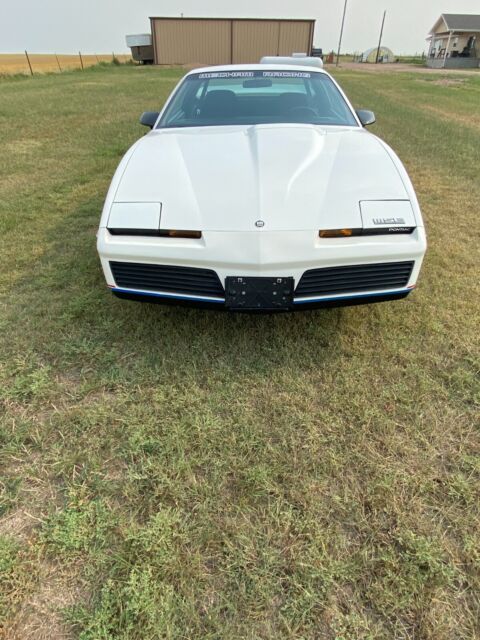 1982 mse mecham racing pontiac trans am #97 of 500 22k miles!