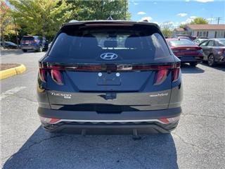 2024 Hyundai Tucson blue