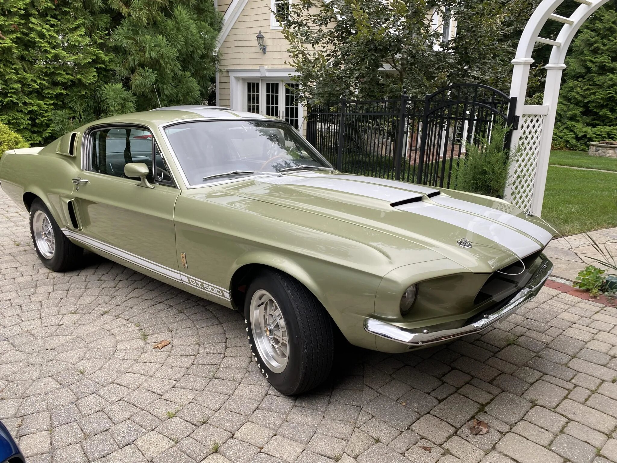 shelby mustang gt500