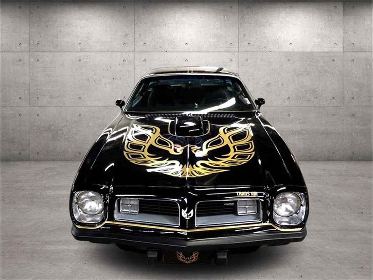 1975 pontiac firebird trans am