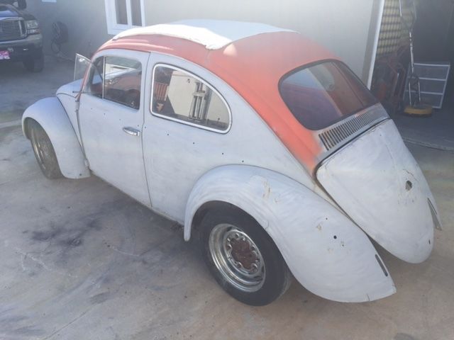 1962 volkswagon beetle bug